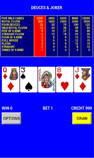 Video Poker