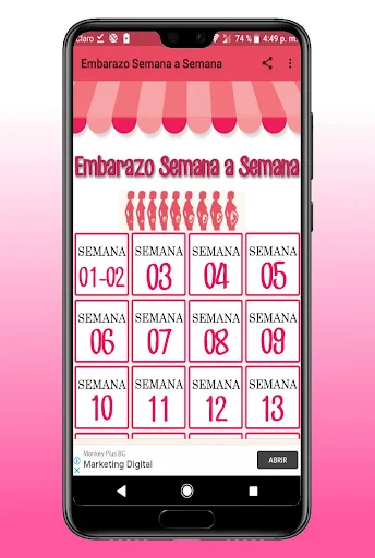Tu Embarazo Semana a Semana