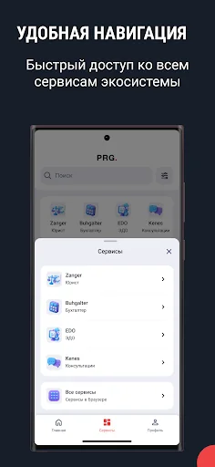 PRG. screenshot 2
