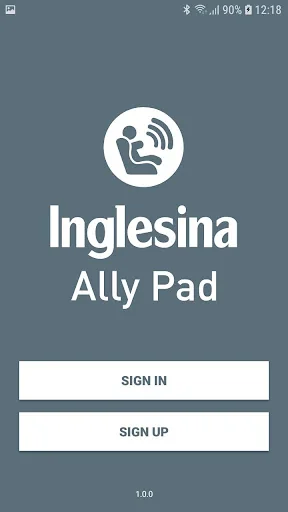 Inglesina Ally Pad