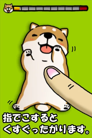 Tickling dog
