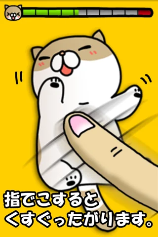 Joke cat