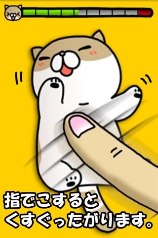 Joke cat