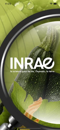Di@gnoplant Squash