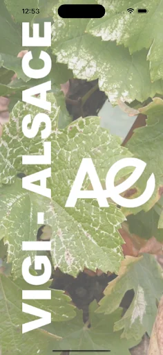 Vigi-Alsace