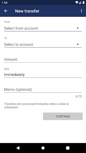 INSOUTH Bank Mobile Banking screenshot 4