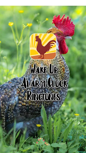 Wake Up Alarm Clock Ringtones
