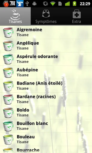 Tisanes et Infusions