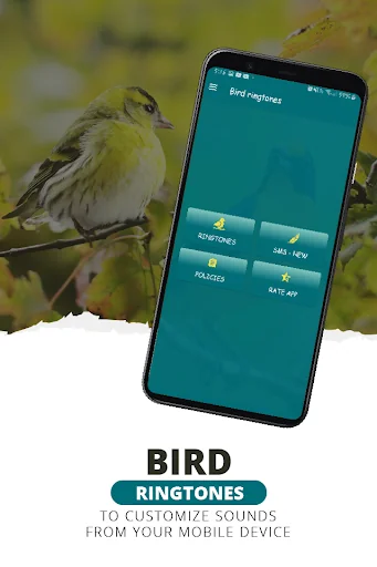 Ringtones, bird sounds