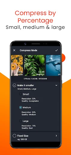Compress Image Chitro: KB, MB, screenshot 1