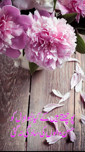 Urdu On Picture - Urdu Status screenshot 4