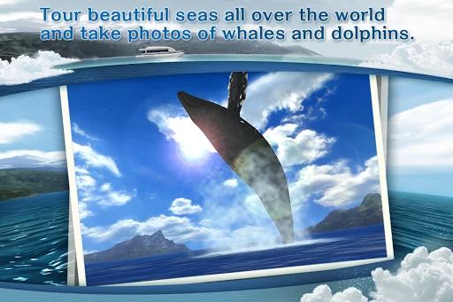 REAL WHALES Find the cetacean! screenshot 1