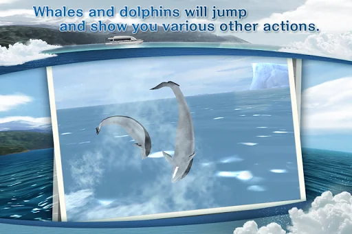 REAL WHALES Find the cetacean! screenshot 2