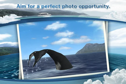 REAL WHALES Find the cetacean! screenshot 3