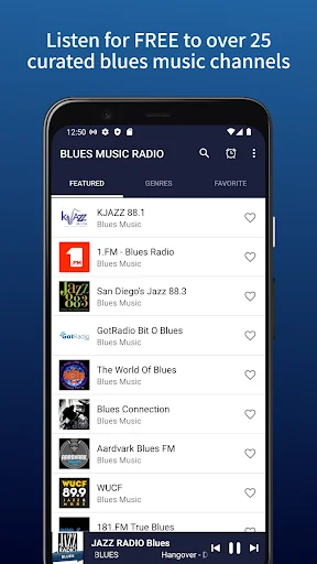 BLUES MUSIC RADIO screenshot 1