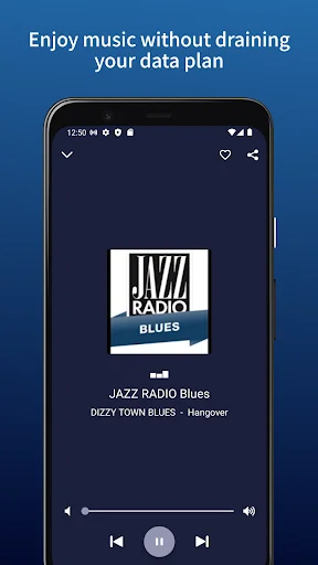 BLUES MUSIC RADIO screenshot 2