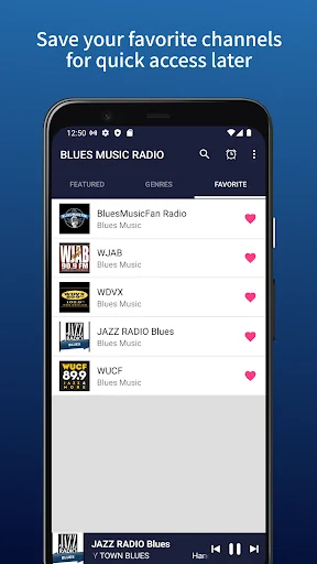 BLUES MUSIC RADIO screenshot 3