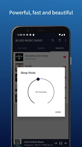 BLUES MUSIC RADIO screenshot 4