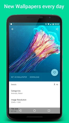 HD Wallpapers and Backgrounds screenshot 3