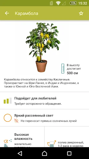 Комнатные растения