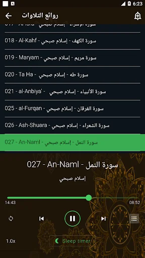 اسلام صبحي قرآن كامل بدون نت screenshot 4