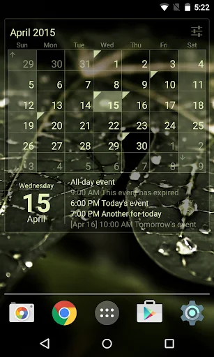 Calendar Widget Month + Agenda screenshot 3