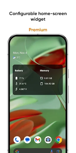 Castro Premium - system info screenshot 4