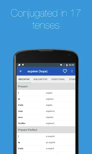 French Verb Conjugator screenshot 3
