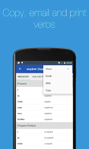 French Verb Conjugator screenshot 4