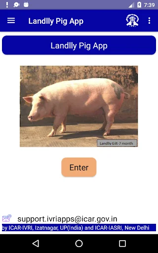 IVRI - Landlly Pig App