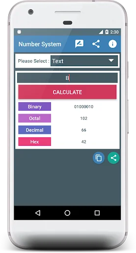 Binary to Base Converter