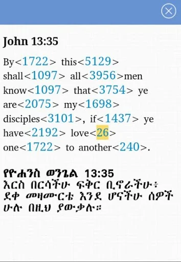 Iota Amharic Bible screenshot 4