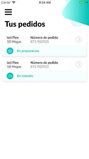 izziflex
