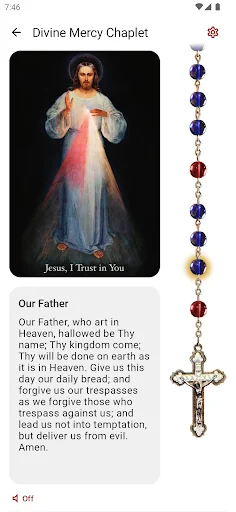 Divine Mercy screenshot 1