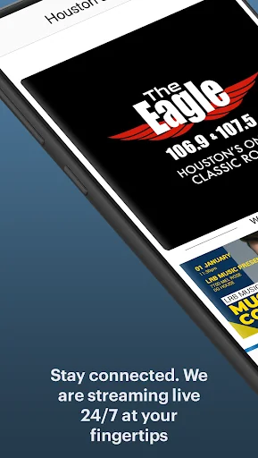 Houston's Eagle screenshot 1