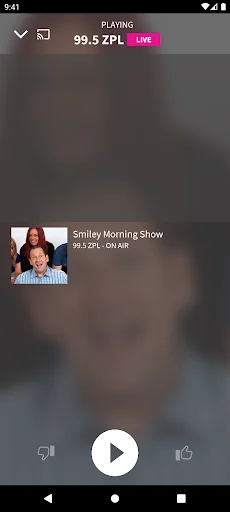 99.5 ZPL screenshot 2