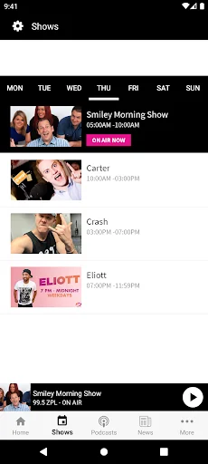 99.5 ZPL screenshot 3