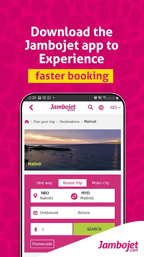 FlyJambojet