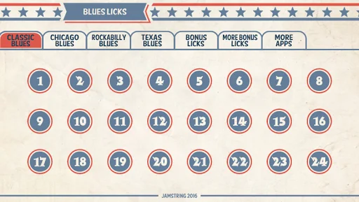 144 Blues Guitar Licks: Pro