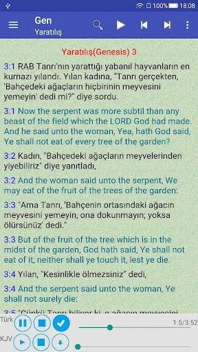 Turkish English Audio Bible