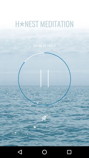 H*nest Meditation