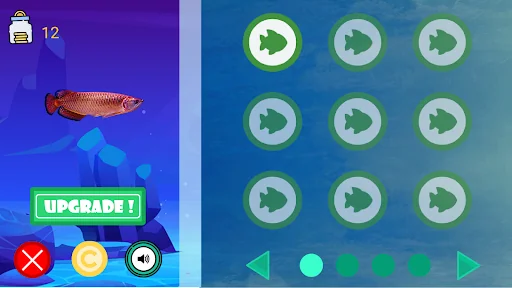 Arowana Seller