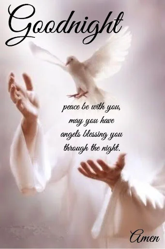 Good Night Wishes 2021 screenshot 3