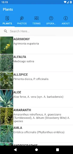 iPlant with Brigitte Mars