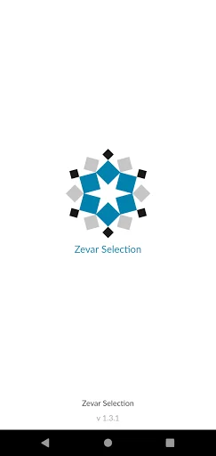 Zevar Selection Silver Ornamen