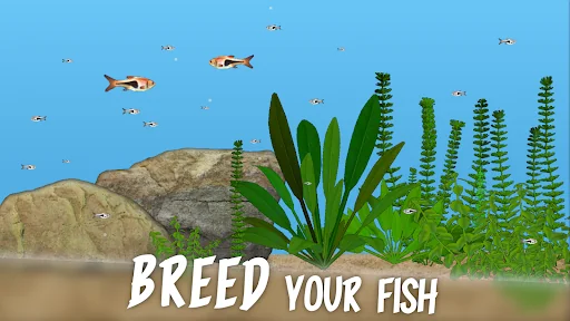 Aquarium Fish screenshot 2