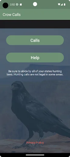 Crow Calls