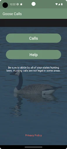 Goose Calls