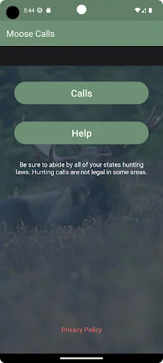 Moose Calls