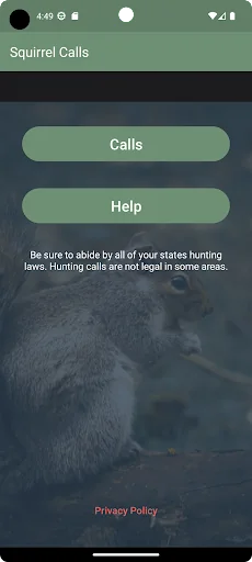Squirrel Calls